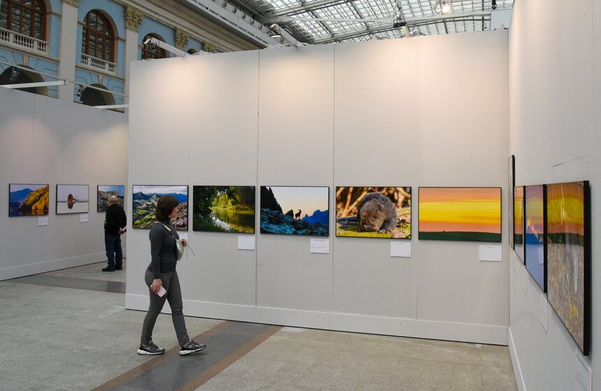 В Москве открылся фестиваль природы "Первозданная Россия" 11 фото