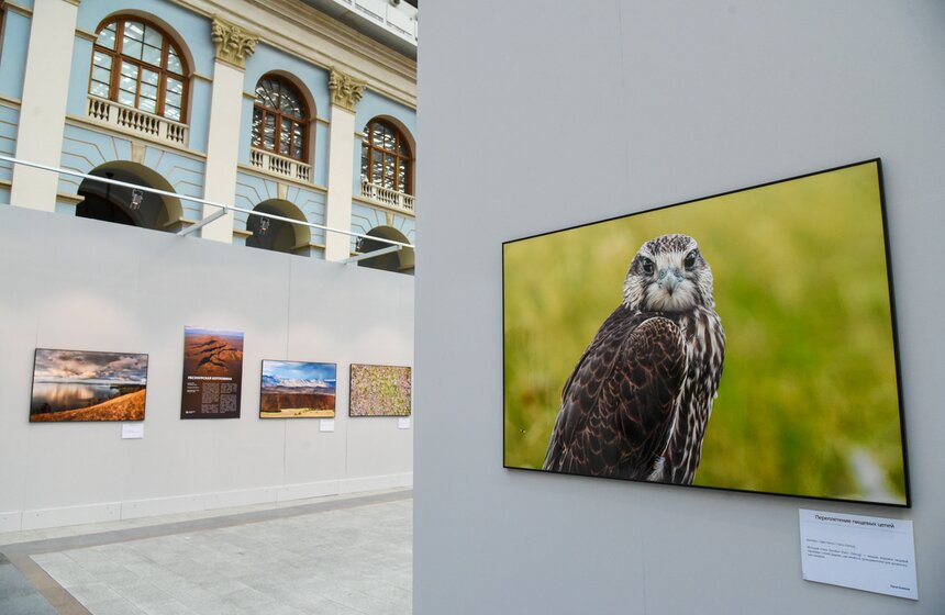 В Москве открылся фестиваль природы "Первозданная Россия" 12 фото