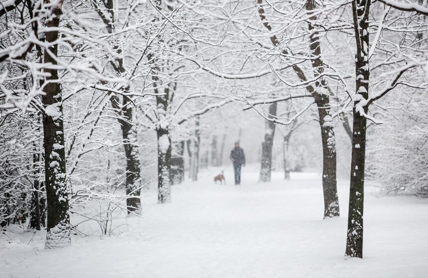 17 января температура воздуха в Москве достигла плюс 4,3 градуса, побив тем самым очередной рекорд.