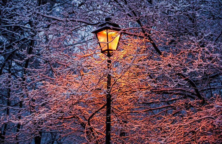 В целом с начала января температура в Москве на 8,9 градуса превышает климатическую норму. Метеорологи отмечают, что аномальное тепло сохранится до середины месяца, однако погодных рекордов больше не ожидается. К слову, в начале новой рабочей недели воздух днем может прогреться до четырех градусов, но местами все же ожидаются небольшие осадки в виде снега.