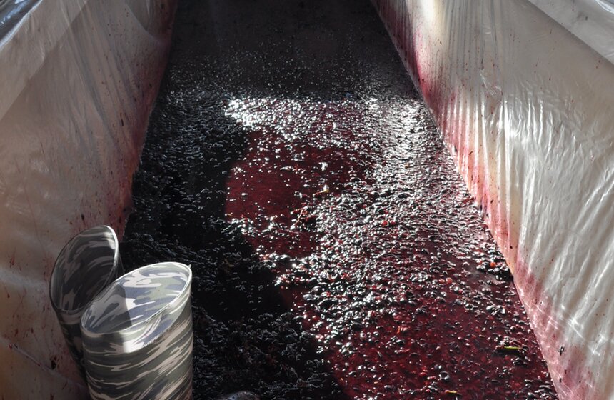 На фестивале "Тбилисоба" рассказали о грузинской культуре 7 фото