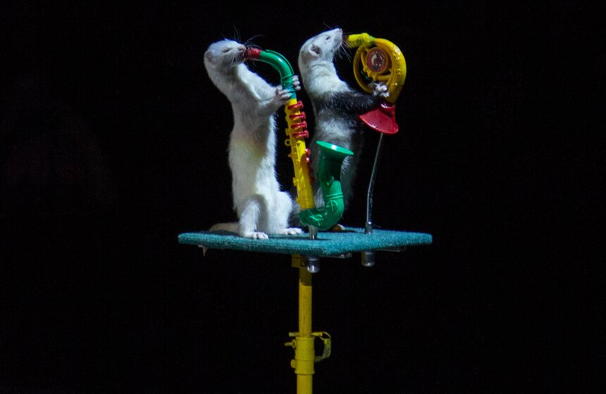 В Москве стартовал фестиваль циркового искусства "ИДОЛ" 13 фото