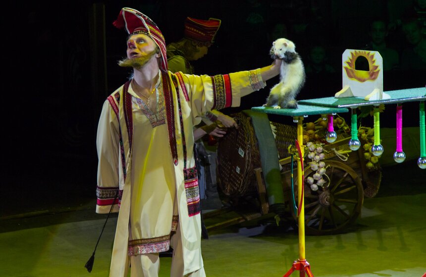 В Москве стартовал фестиваль циркового искусства "ИДОЛ" 12 фото