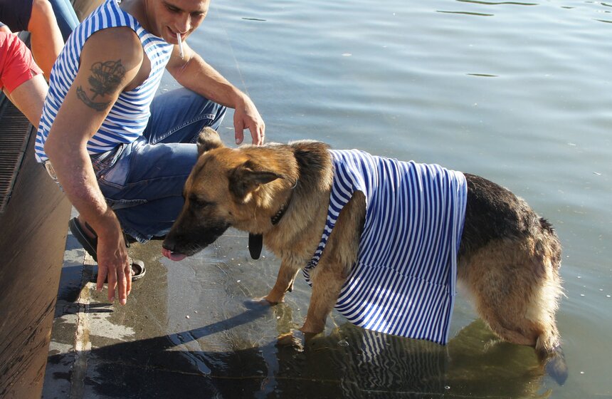 Десантники отметили свой профессиональный праздник 17 фото