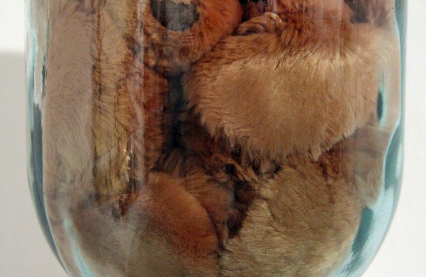 Фестиваль коллекций современного искусства открылся в Москве 7 фото