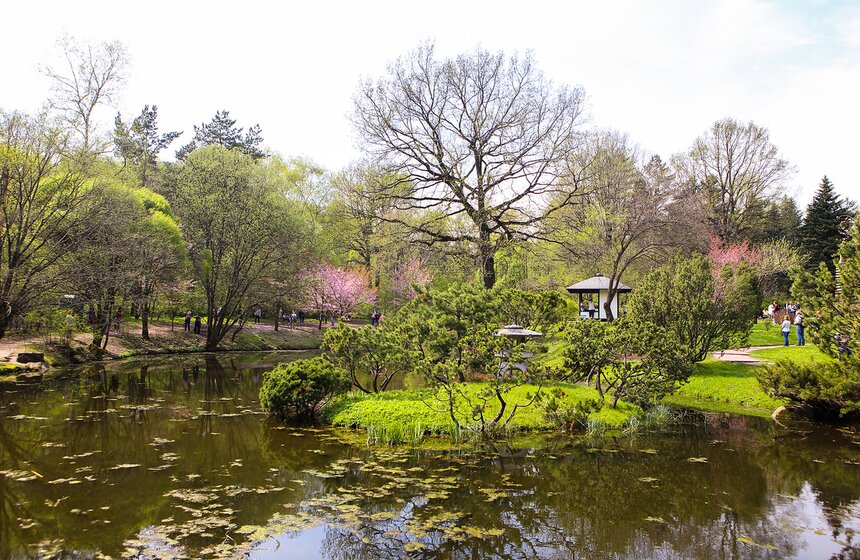 Старшую – Иванага-химэ ("Высокая Скала") или младшую – Ко-но хана сакуя-химэ ("Цветущая").