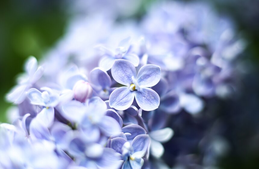 Лучше пригласите своего любимого человека погулять вместе в этом чудесном месте!