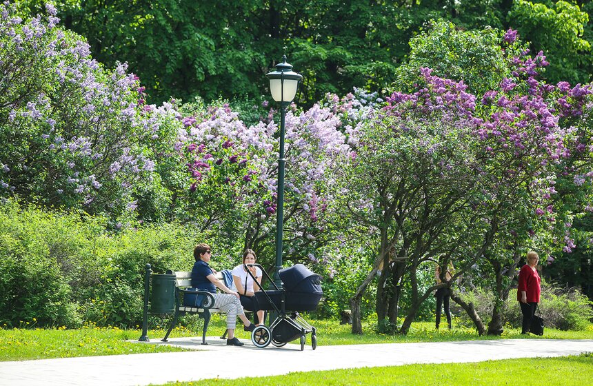 Ведь Сиреневый сад – это отличное место для романтических встреч или отдыха всей семьей.