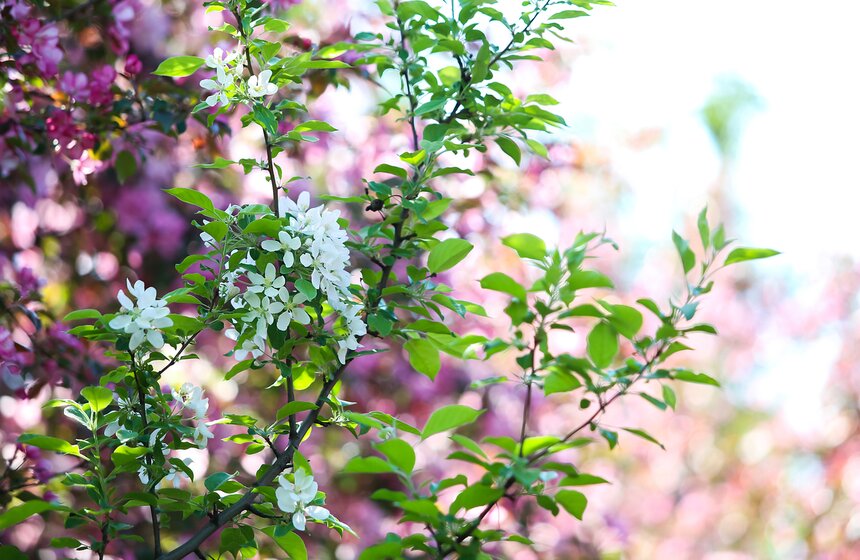 На пару часов поставьте телефон на беззвучный режим и отправляйтесь на прогулку.