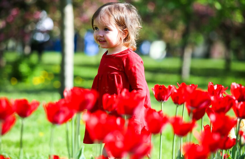 Ну а верить этому или нет – дело каждого.