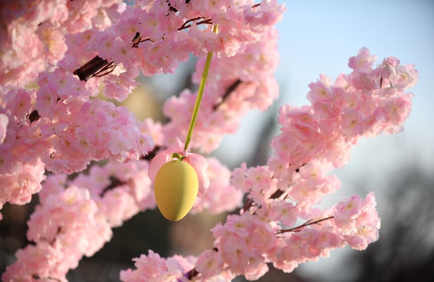 В полную силу фестиваль заработает 16 апреля – на Пасху