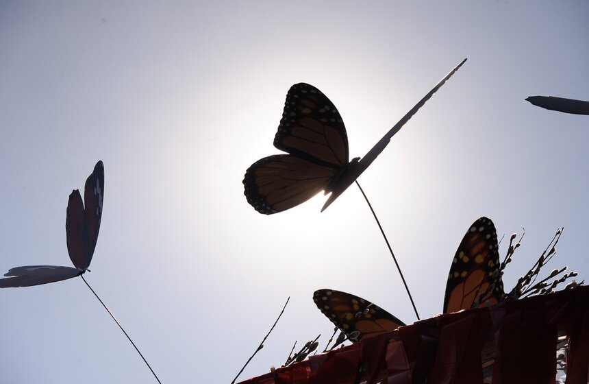 В этом году столица зацветет и запахнет раньше срока