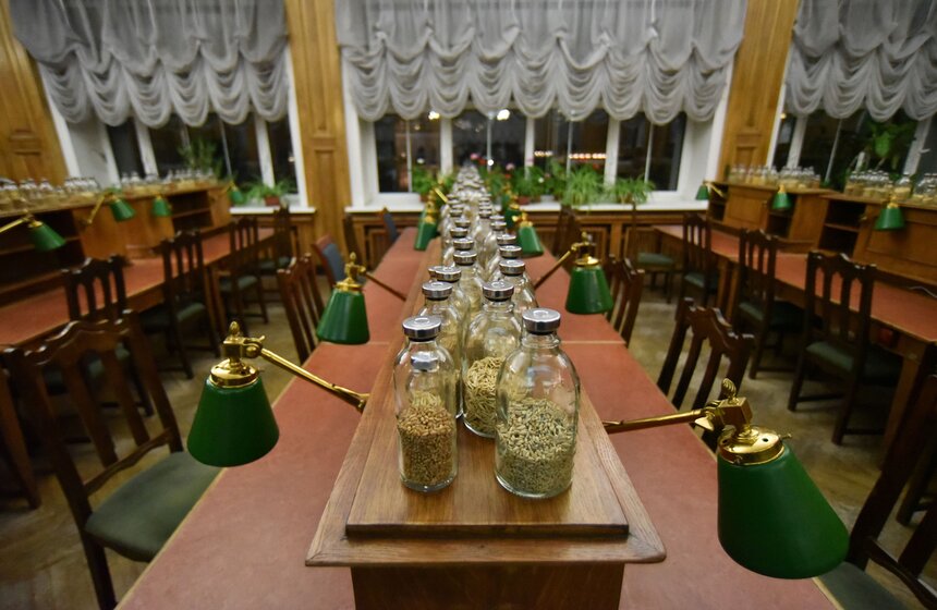 Однако часть вавиловской коллекции была захвачена нацистами и использована для исследований в области генетики. Частью "Журнала наблюдений" стала работа Кищенко с австрийскими художниками. Они вырастили из семян поле, которое было объявлено самостоятельным произведением искусства.