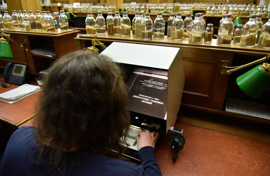 Впервые выставка прошла в Институте имени Вавилова. По замыслу художника, она была интегрирована в пространство НИИ так, чтобы посетитель не смог отличить арт-объекты от реального научного архива.