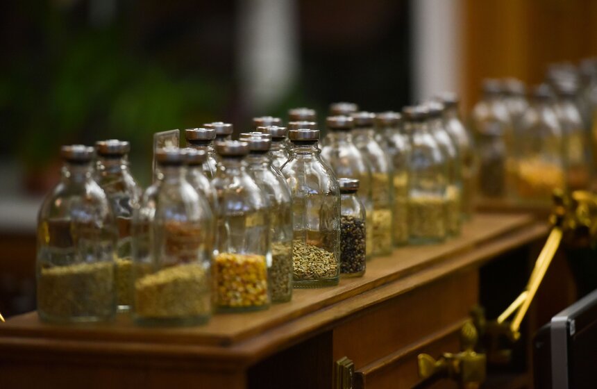 Частью проекта стала инсталляция, которая представляет собой реконструкцию уникальной коллекции семян, спасенной во время войны. В работе над ней художнику помогали сотрудники Института им. Вавилова.