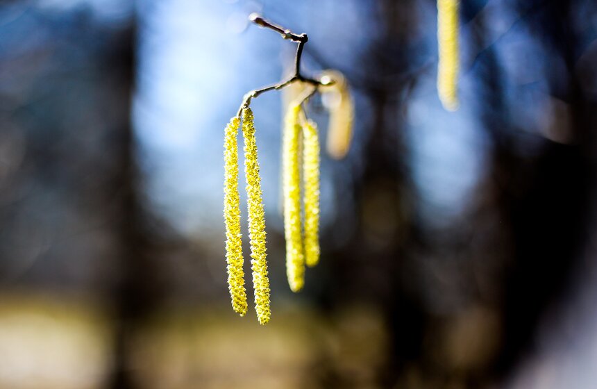 Место это не только красивое, но еще и культурно-историческое: его история насчитывает уже более 300 лет