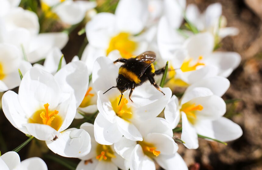 В Москве наступила настоящая весна
