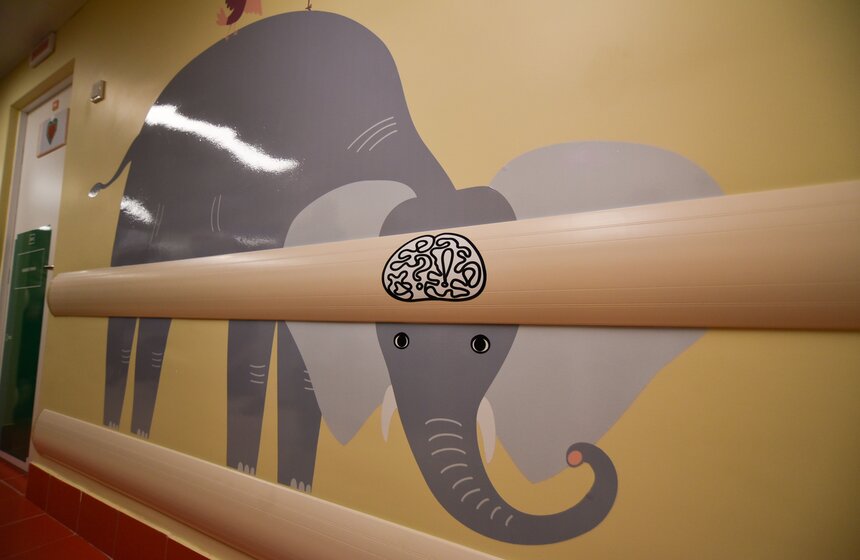 На третьем этаже, где расположены кабинеты врачей и УЗИ, вдоль стен коридора изображены звери и то, что у них внутри. "На этом этаже врачи заглядывают детям внутрь, поэтому и у каждого животного изображен какой-то внутренний орган", – пояснила Звягинцева.