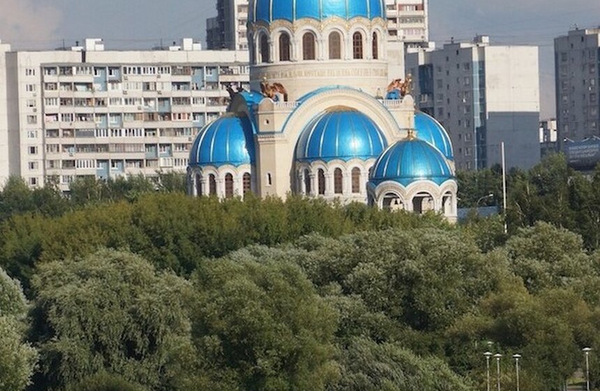 В Борисовские пруды выпустили более 400 рыб белого амура 11 фото