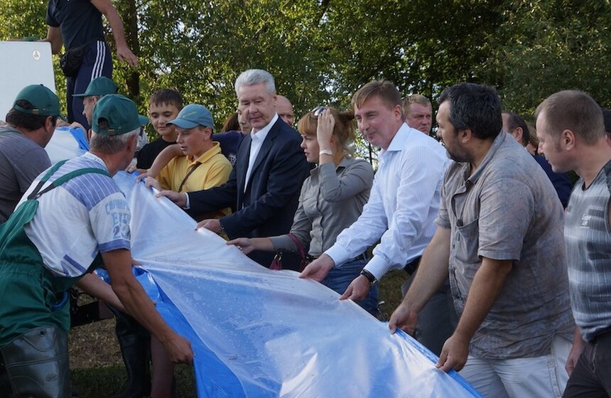 В Борисовские пруды выпустили более 400 рыб белого амура 5 фото