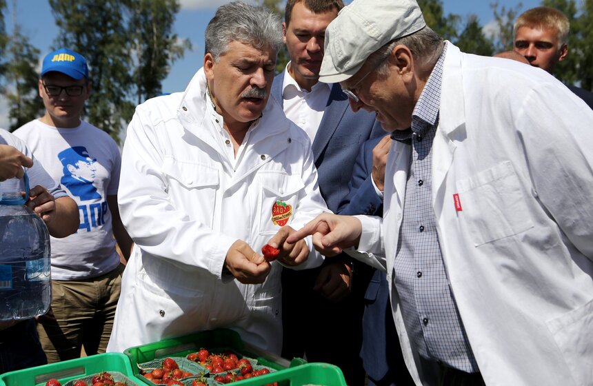 Летом все хотят вдоволь наесться клубники. Директор "Совхоза имени Ленина" Павел Грудинин уверяет, что лучшая клубника растет в паре километров от МКАД. Верить этим словам или нет – каждый решает сам, а лучше это проверить на деле.