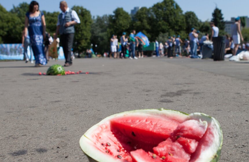 В Парке Горького отметили день ВДВ 8 фото