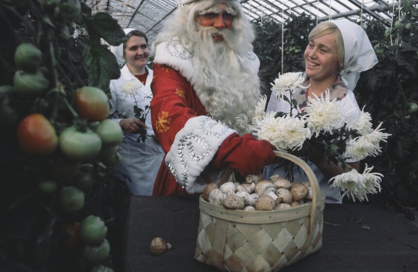 1 марта 1980 года. Сказочный Дед Мороз с корзиной свежих тепличных шампиньонов в Барнауле.