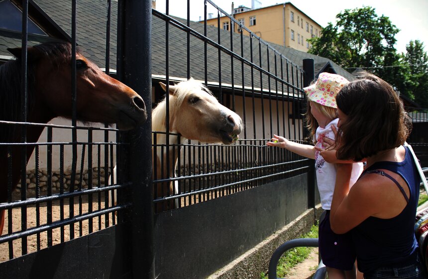 Как изменится Московский зоопарк 48 фото