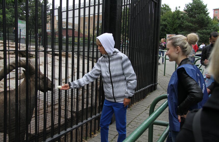 Московский зоопарк набирает волонтеров 19 фото