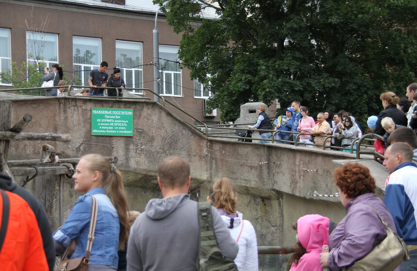 Московский зоопарк набирает волонтеров 5 фото