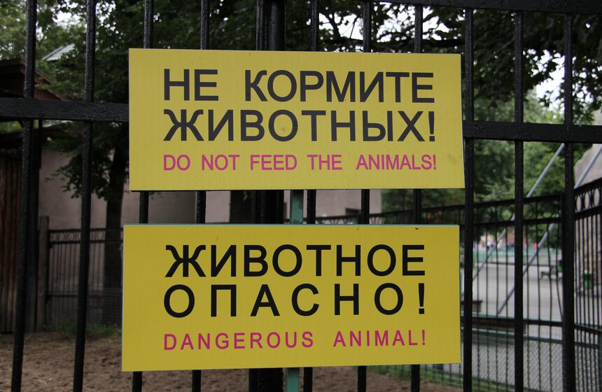 Московский зоопарк набирает волонтеров 3 фото