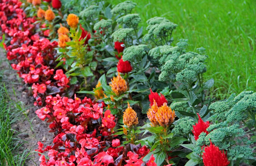 В парке "Кузьминки" проходит фестиваль цветников 19 фото