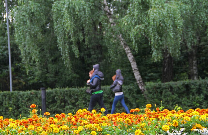 В парке "Кузьминки" проходит фестиваль цветников 5 фото