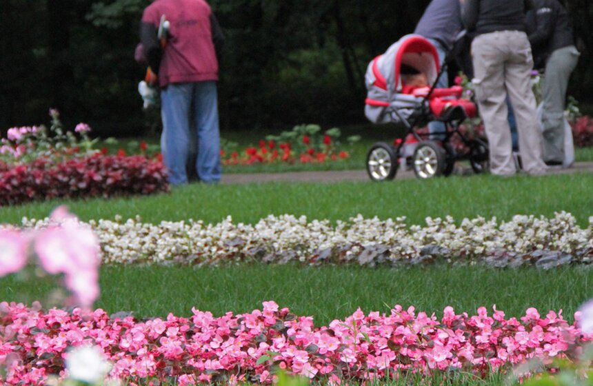 В парке "Кузьминки" проходит фестиваль цветников 4 фото