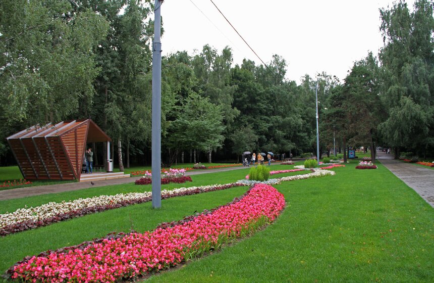 В парке "Кузьминки" проходит фестиваль цветников 3 фото