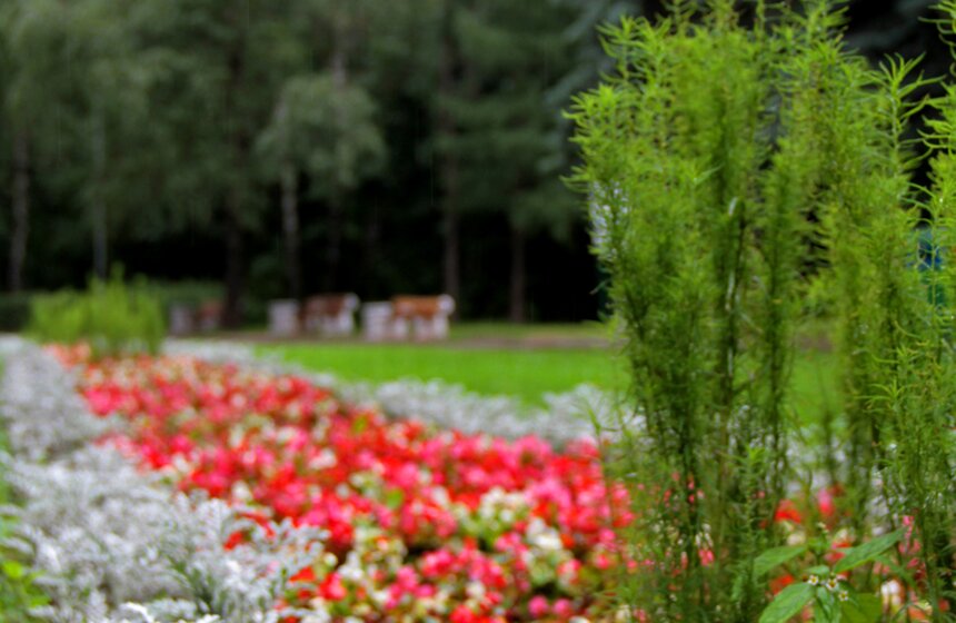 В парке "Кузьминки" проходит фестиваль цветников 6 фото