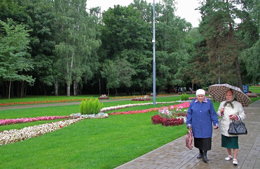 В парке "Кузьминки" проходит фестиваль цветников 11 фото