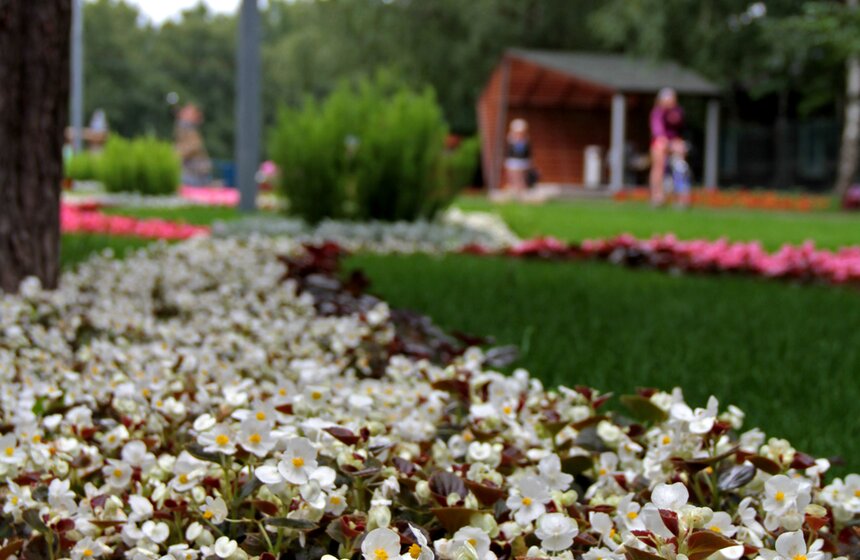 В парке "Кузьминки" проходит фестиваль цветников 10 фото