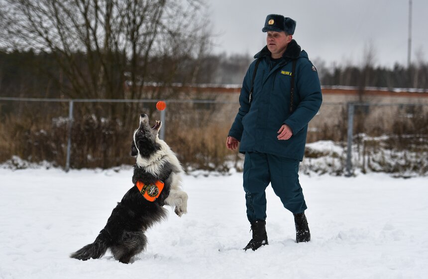 Это не только работники поисково-спасательных служб, но и собаки, которых задействуют для спасения на водах, поиска тел погибших, в горно-лавинной и минно-розыскной службах.