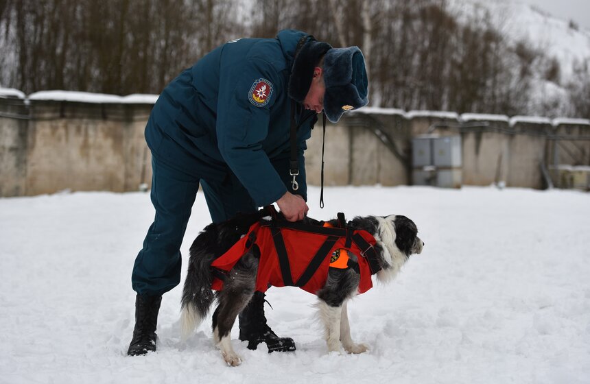 В Москве кинологическая группа по поиску людей одна.