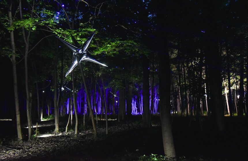 Фестиваль искусств "Вдохновение" открылся на ВДНХ. После захода солнца каждый день будет оживать волшебный лес, созданный известными европейскими художниками.<br /><br />https://www.m24.ru/galleries/sorevnovaniya/08012017/6637