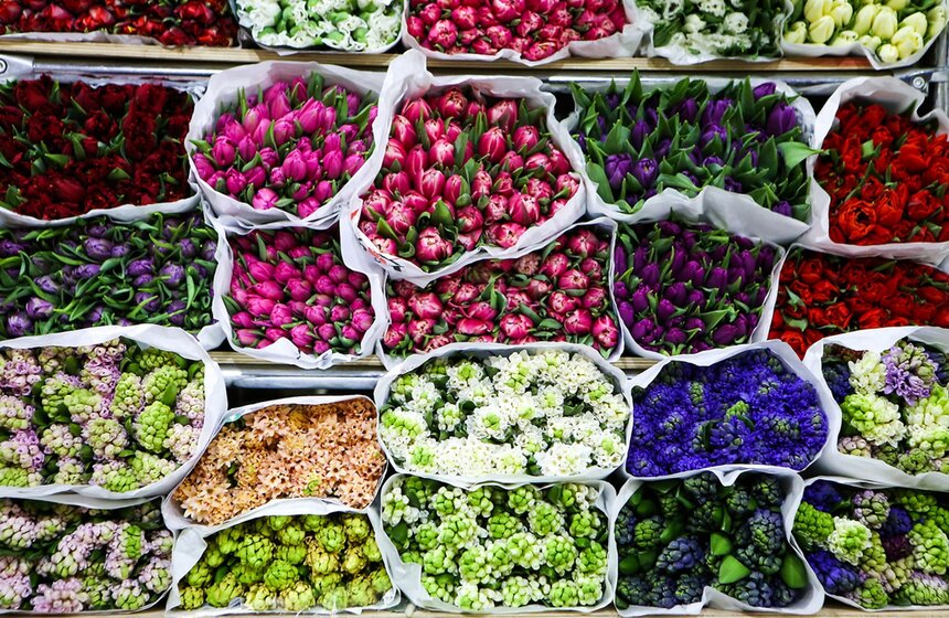 8 Марта – праздник, утопающий в цветах.<br /><br />https://www.m24.ru/galleries/sorevnovaniya/08012017/6124