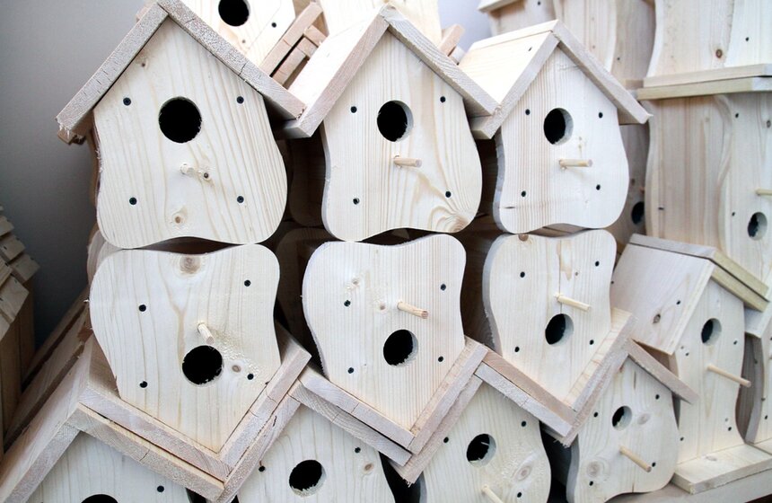 День птиц отметили 1 апреля на ВДНХ. Гости мероприятия занимались росписью домиков для пернатых обитателей выставки.<br /><br />https://www.m24.ru/galleries/sorevnovaniya/08012017/6228?