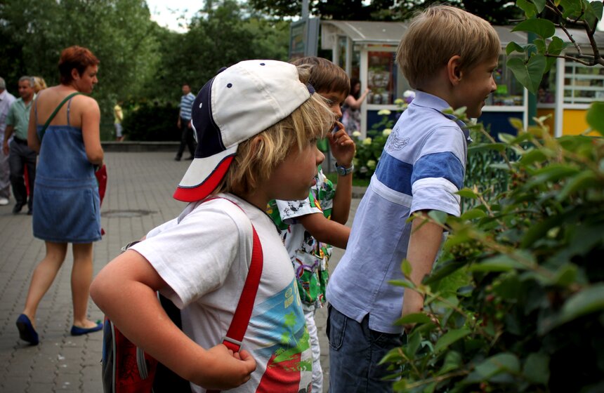 Как изменится Московский зоопарк 16 фото