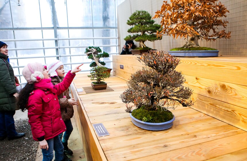 В "Аптекарском огороде" собраны сотни видов растений