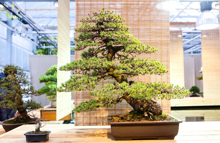 Каждый стиль красив по-своему и каждый уникален