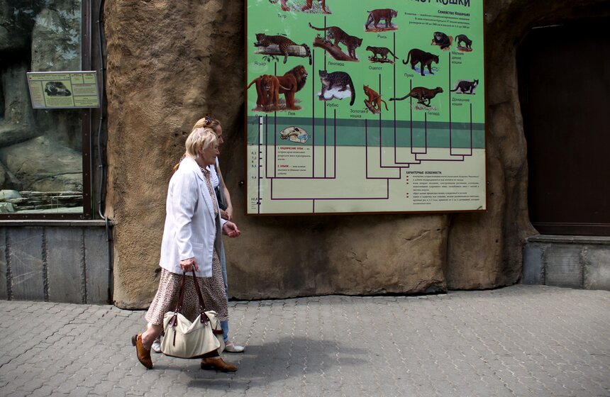 Как изменится Московский зоопарк 17 фото