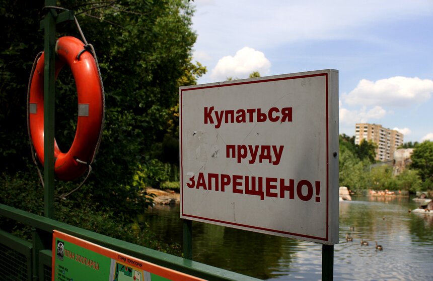 Как изменится Московский зоопарк 7 фото