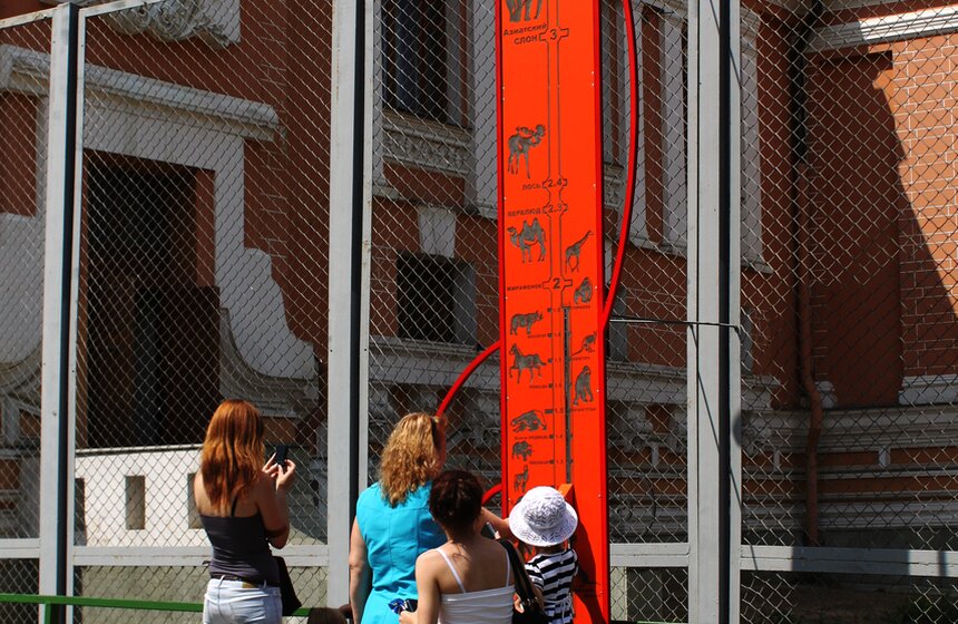 Как изменится Московский зоопарк 33 фото