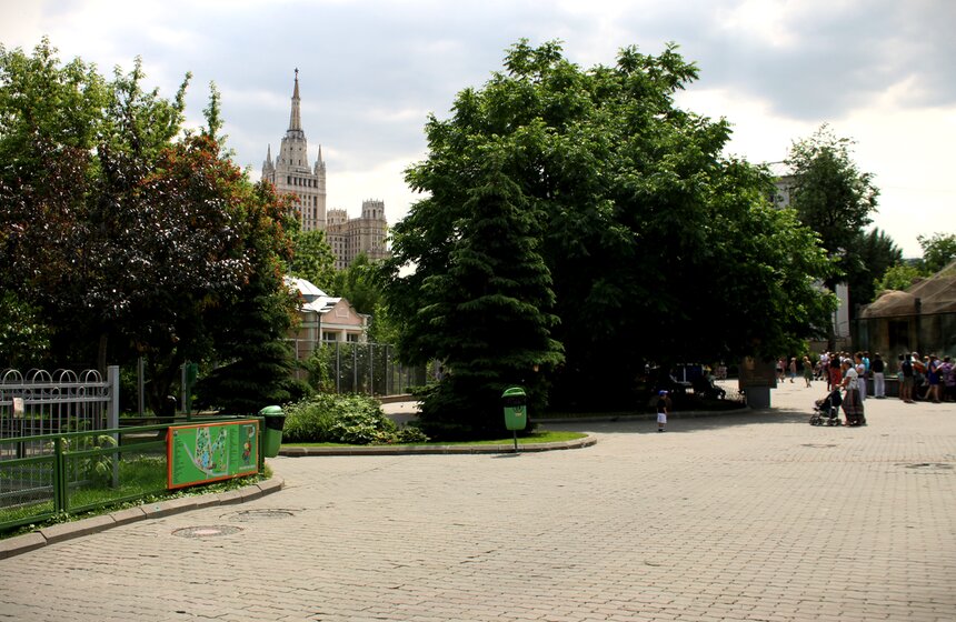 Как изменится Московский зоопарк 20 фото